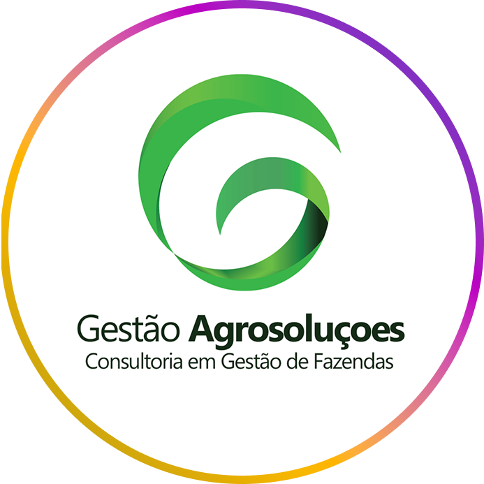 gestão